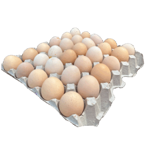 Free Range Farm Eggs – 30 Pack